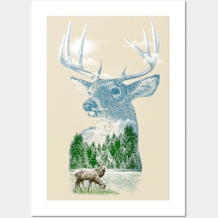 MO'DEER' NATURE Posters and Art